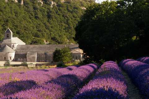 Nature en Haute-Provence