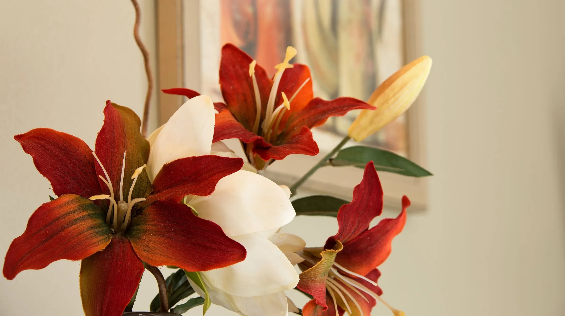 Fleurs rouges et blanches sur fond flou, Hôtel 3 Étoiles Manosque - Le Pré Saint-Michel